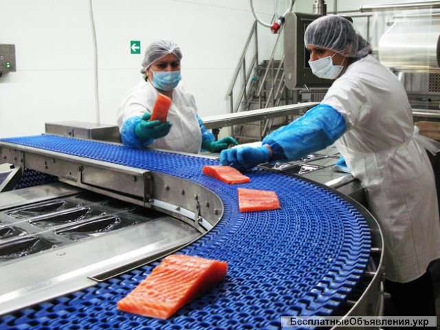 Рабочие на упаковку рыбы в Польшу