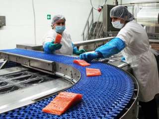 Рабочие на упаковку рыбы в Польшу