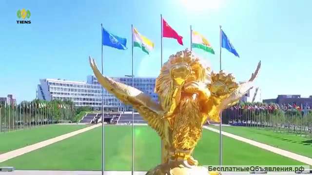 Дистрибьютор