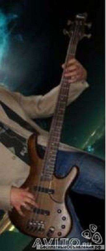 Бас-гитара Ibanez EDB550