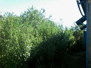 Участок с домом