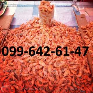 Рыба. Креветка.