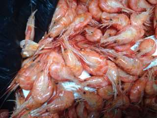 Крупная креветка