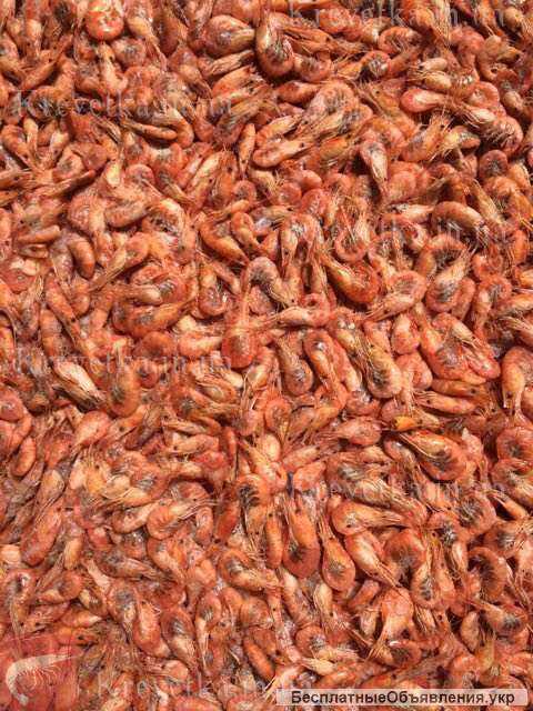 Креветка, мидии, краб, рыба