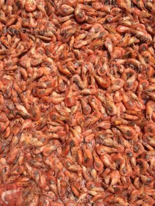 Креветка, мидии, краб, рыба