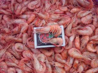 Креветка черноморская /черноморские гиганты