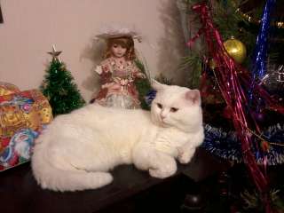 Племенное животное