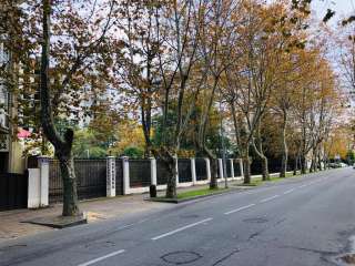 Орджоникидзе 36а