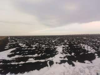 Земельный участок сельхозназначения 74 Га