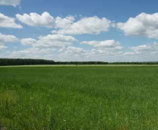 Земельный участок площадью 35 га, Московская область