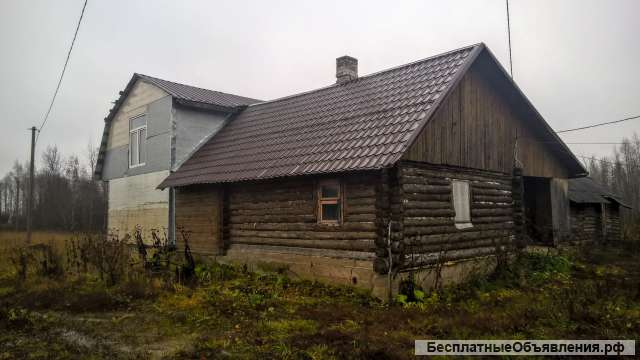 Два дома с хоз. постройками и баней на хуторе, 12 Га. земли