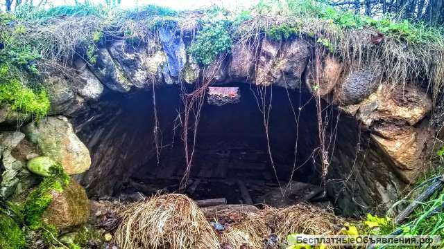 Два дома с хоз. постройками и баней на хуторе, 12 Га. земли