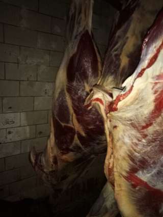 Говядина фермерская с доставкой на дом, магазин, ресторан