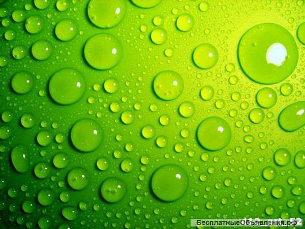 BioRemove 4200 (BI-CHEM DC 2000 GL)- Разложение масел и жиров животного и растительного происхождени