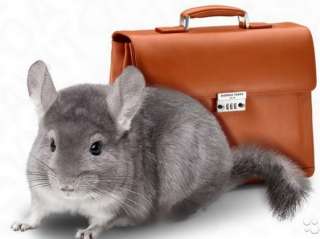 Рентабельный бизнес для каждого желающего изменить свою жизнь