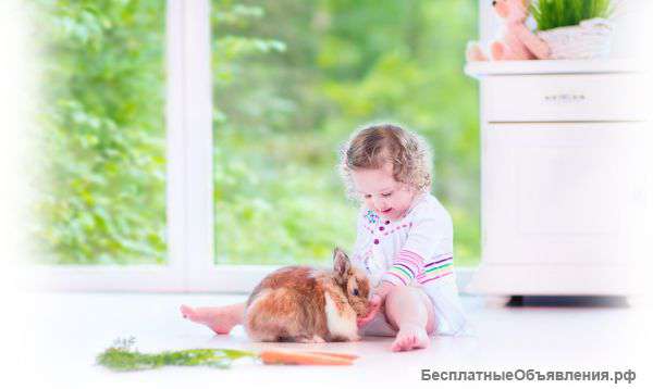 Укладка ламината. Ремонт квартир.