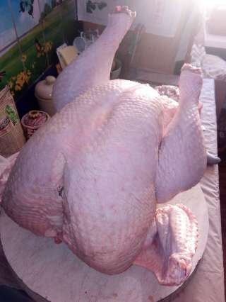 Свежее мясо индейки Киев