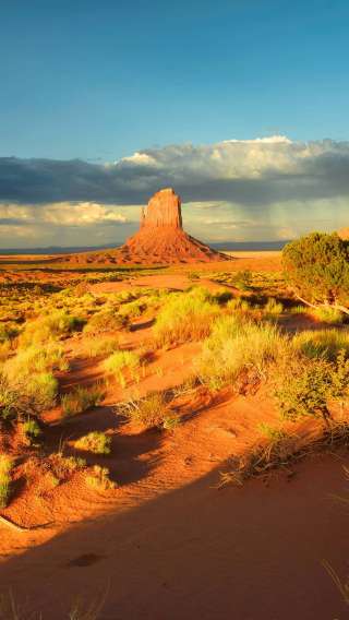 Зеркальная защита