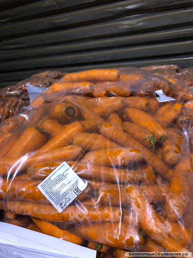 Морковь, сорт кордоба