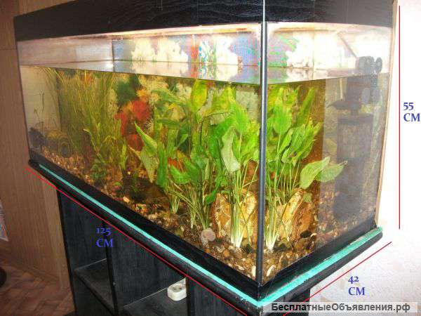 Аквариум на 210 литров