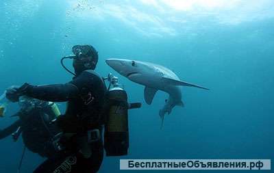 Создание и разработка бренда