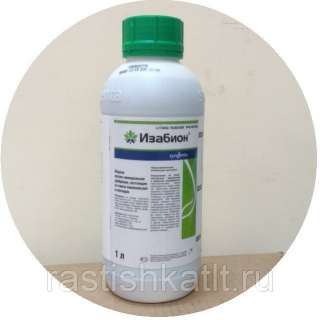 Регулятор роста растений Изабион 100 г