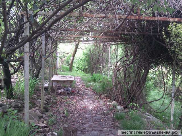 Большой участок с садом и дом в подарок