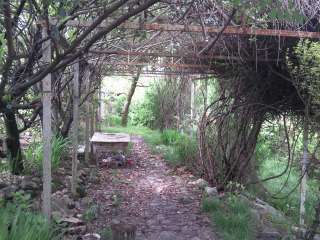 Большой участок с садом и дом в подарок