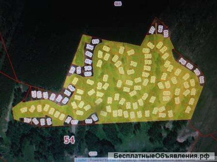 ДНТ целиком