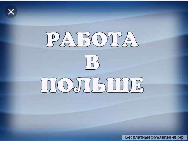 Фабрика по изготовлению сыров