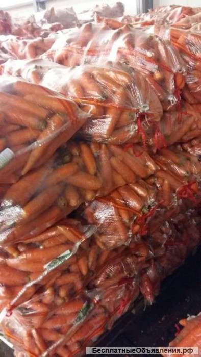 Морковь мытая оптом от 1 тн со склада в Москве 22р/кг