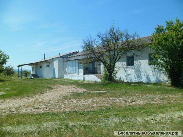 Колбасный цех