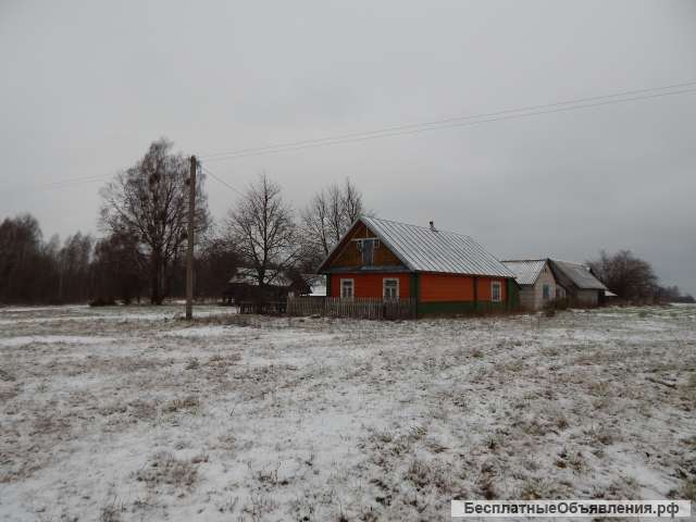 Хутор в Республике Беларусь, Гродненская область, 1,5 км от а.г.Заболоть.