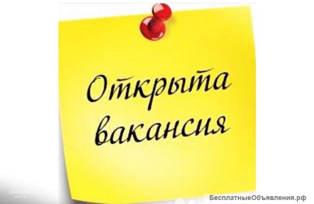 Специалист(Сыктывкар)