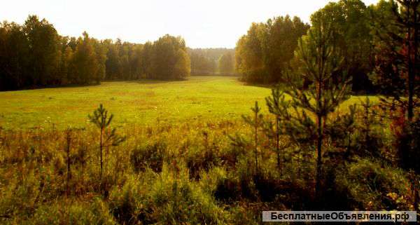 Земельные участки в пригороде Красноярска