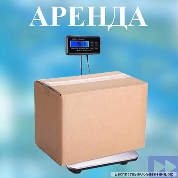 Прокат весов платформенных
