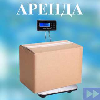 Прокат весов платформенных