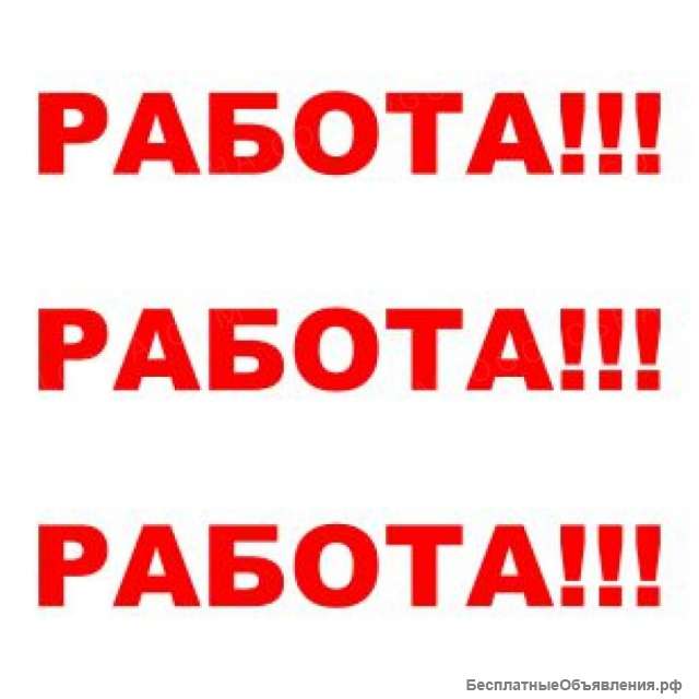 Требуются многопрофильные специалисты