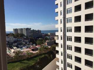 1-комнатную квартиру (Сочи)