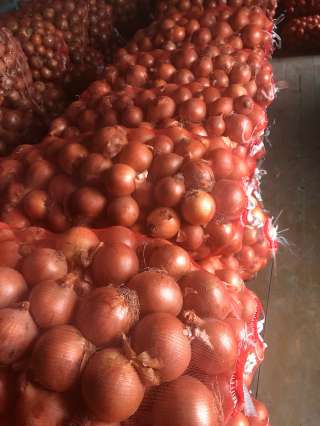 Картофель, лук. урожай 2018 года
