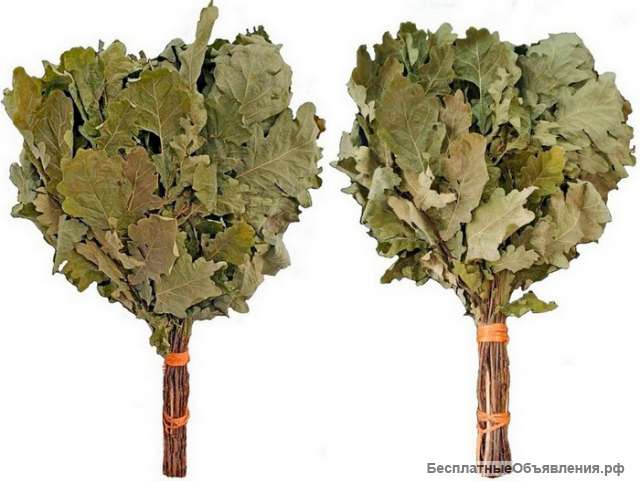 Веники банные. Берёзовые и Дубовые.