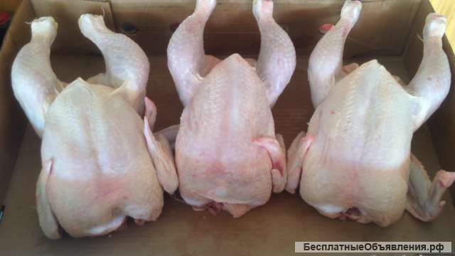 Свинина Говядина Баранина Охлаждён. Курица Индейка