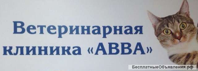Требуется ветеринарный врач, ветеринарный фельдшер