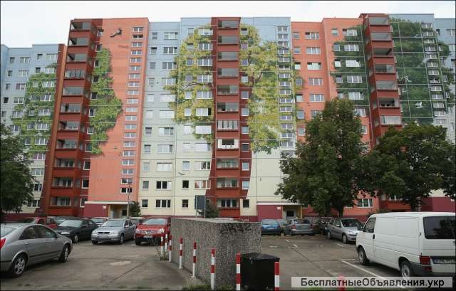 Реклама в стиле граффити, оформление интерьера, асфальтов, стен, помещений