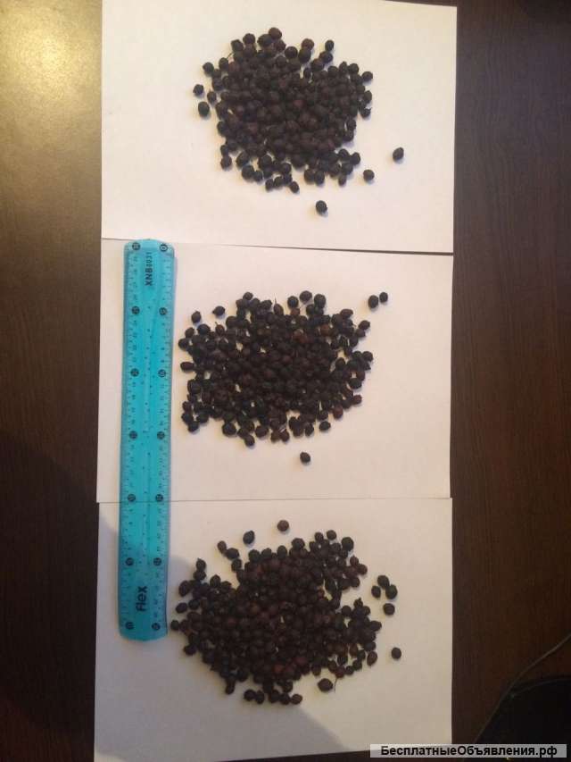 Боярышник черный(кроваво-красный)