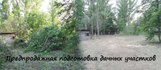 Предпродажная подготовка недвижимости