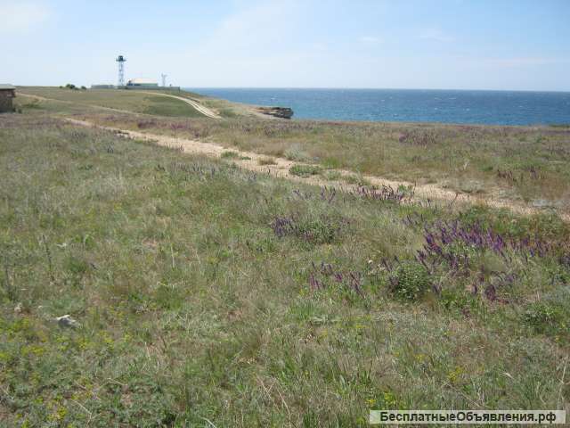 Шикарный земельный участок в Крыму