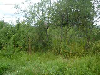 Дом, часть дома, доля. ПМЖ. Прописка Московская об.