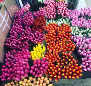 Тюльпаны к 8 марта от производителя