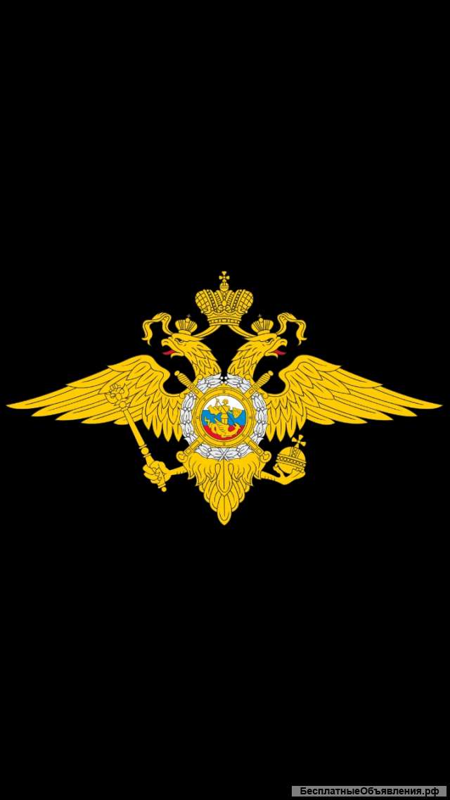 Работа в полиции